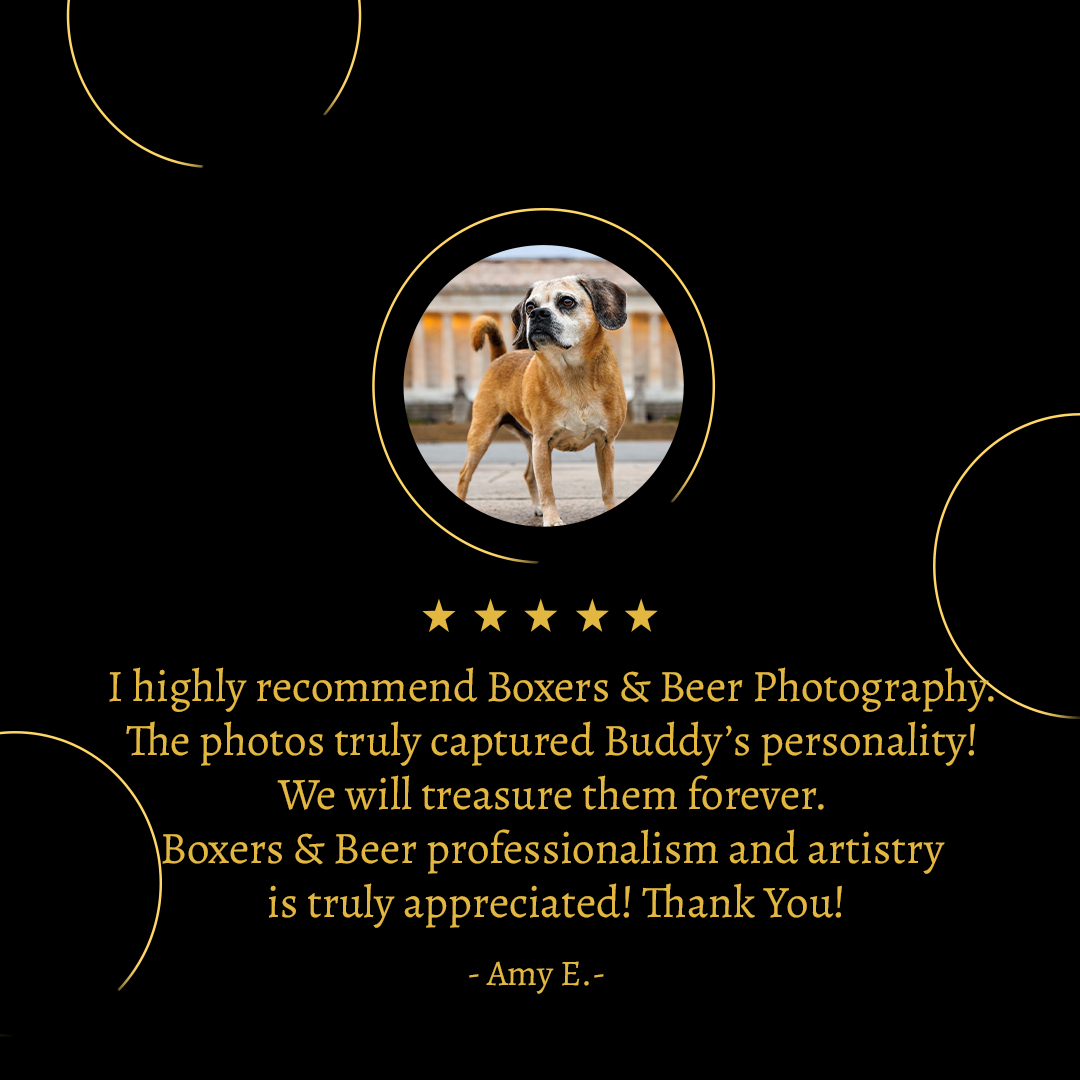 Buddy testimonials Buddy testimonials