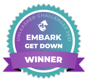 02-Get-Down-Winner 02-Get-Down-Winner