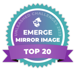 09mirrorimagetop20