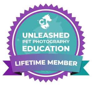 Lifetime-Member-Badge