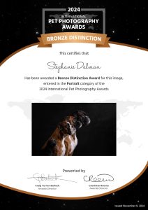 Bronze Distinction-1