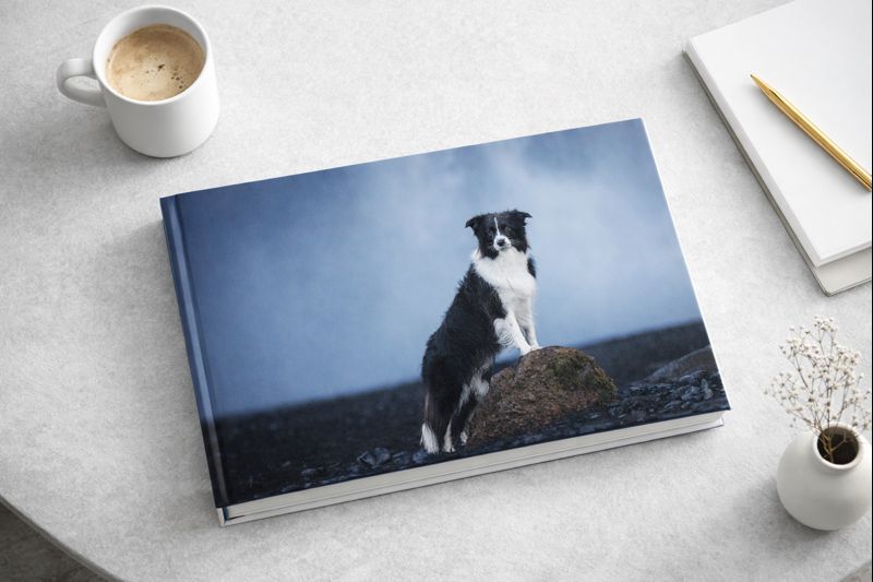 8x12 album with border collie cover
