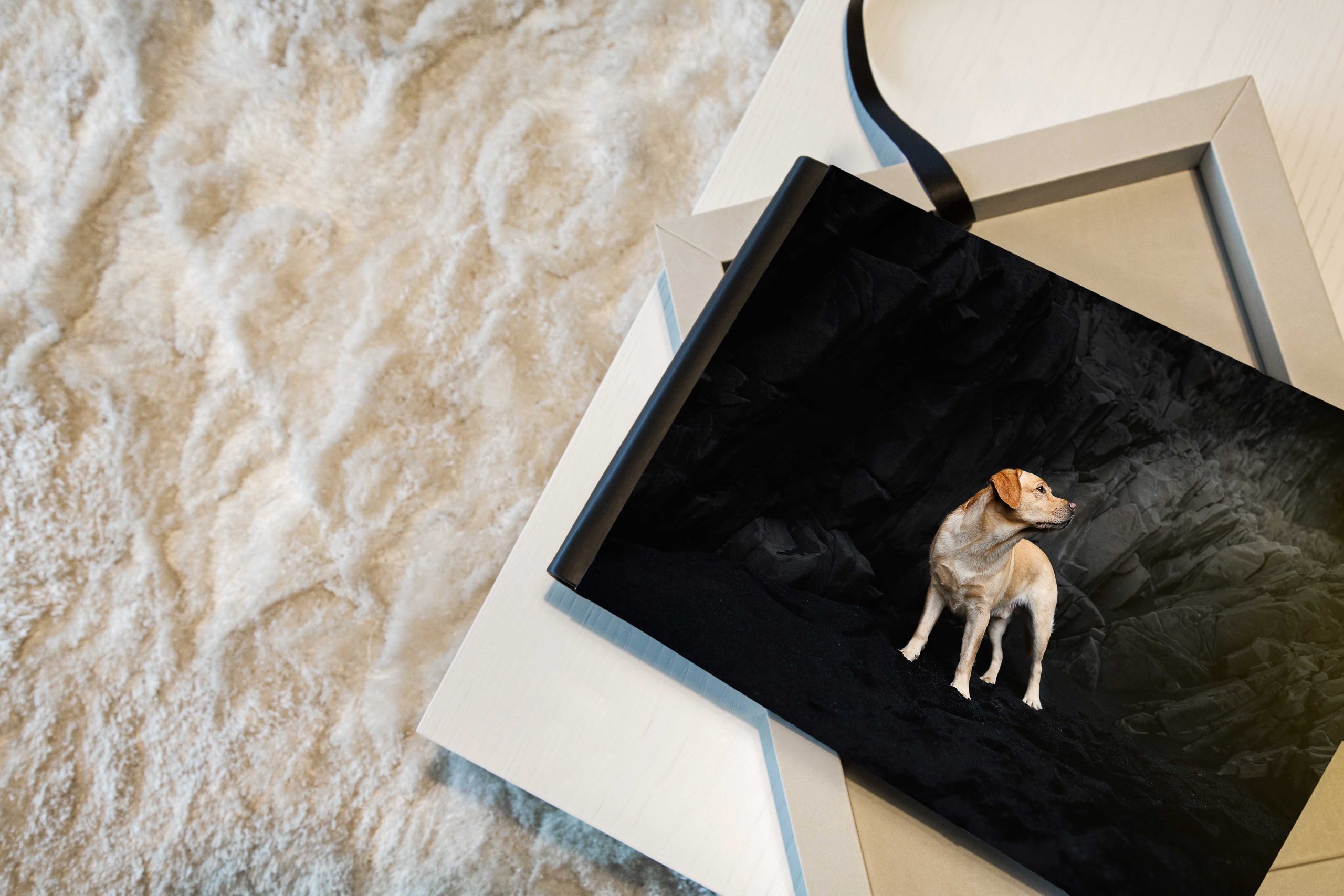 8x12 go book album with yellow lab in dark cave